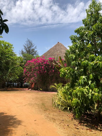 Bien immobilier — Cité (San Pedro), San Pedro
