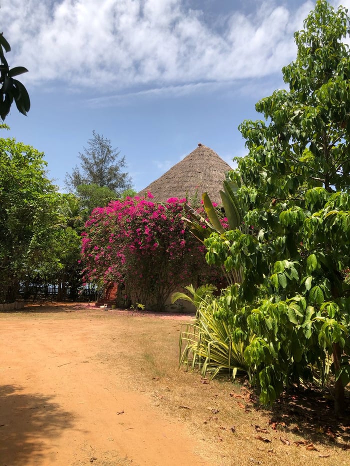 Magnifique Villa à la vente à San Pedro image