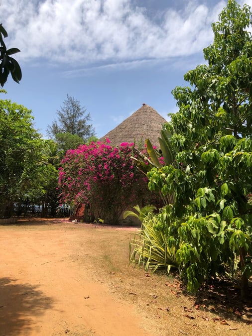 Magnifique Villa à la vente à San Pedro — Cité (San Pedro), San Pedro (photo 1)