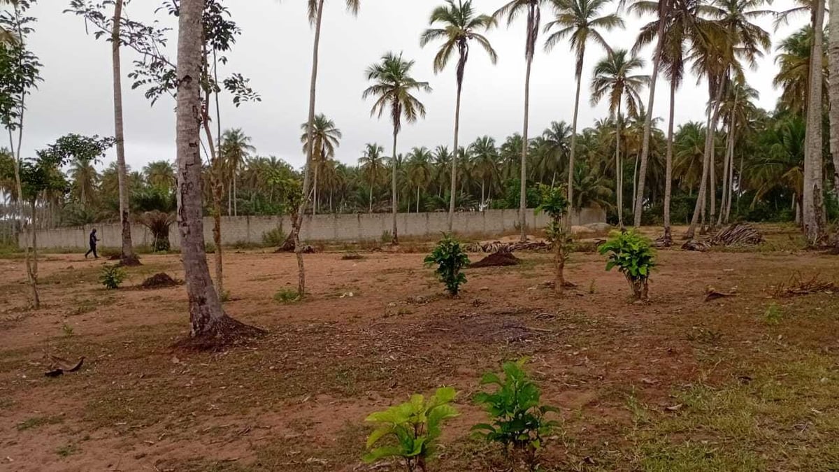 Terrain de 1000 m2 à vendre à Mondoukou — Mondoukou, Grand-Bassam (photo 1)