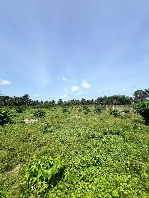 Terrain à vendre à Assinie — Assinie Mafia, Assinie (photo 1)