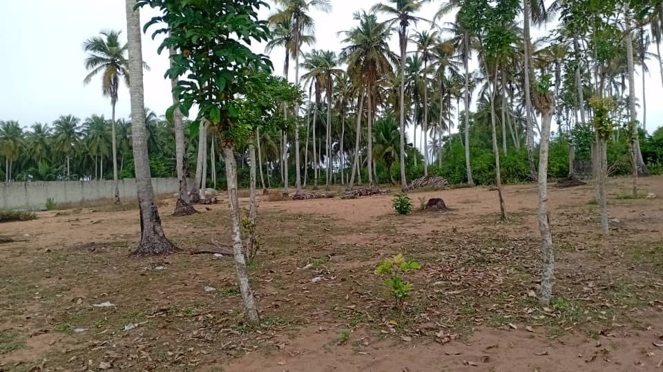 Terrain 2 Mondoukou