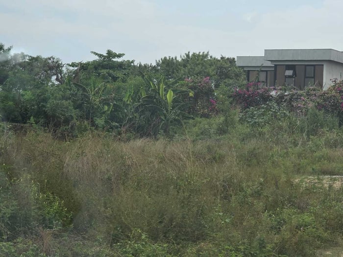 Terrain à la vente à la Golf  image