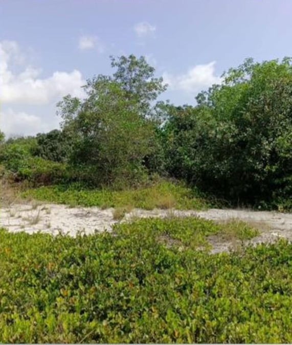 Terrain à la vente à Assinie — (photo 1)