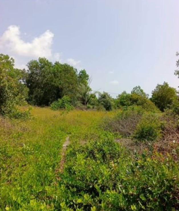 Terrain 600 m2 assinie 3