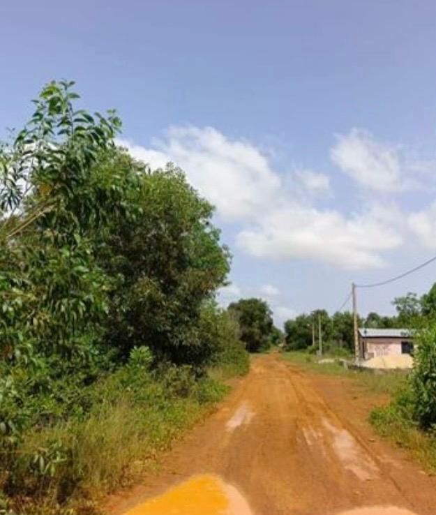 Terrain 600 m2 assinie1