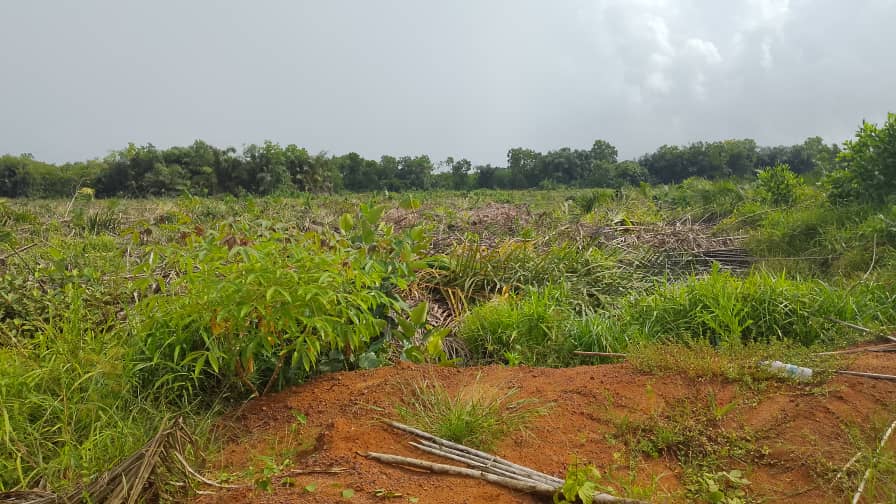 Terrain assouindé 3