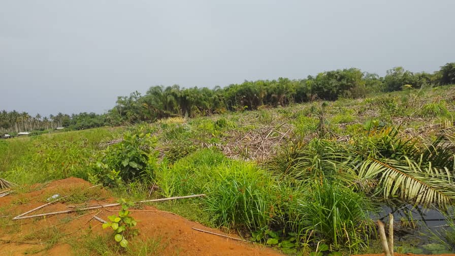 Terrain assouindé 4