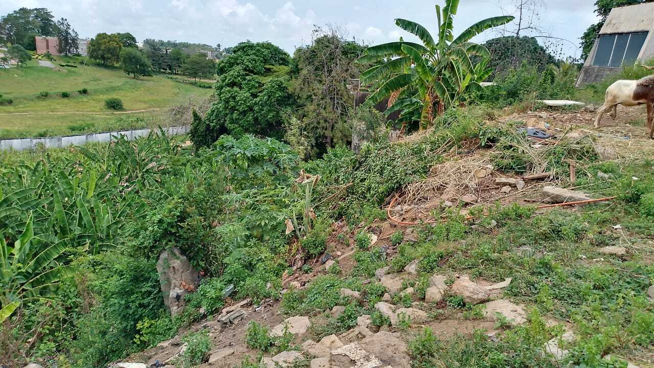 Terrain cocody mermoz 3