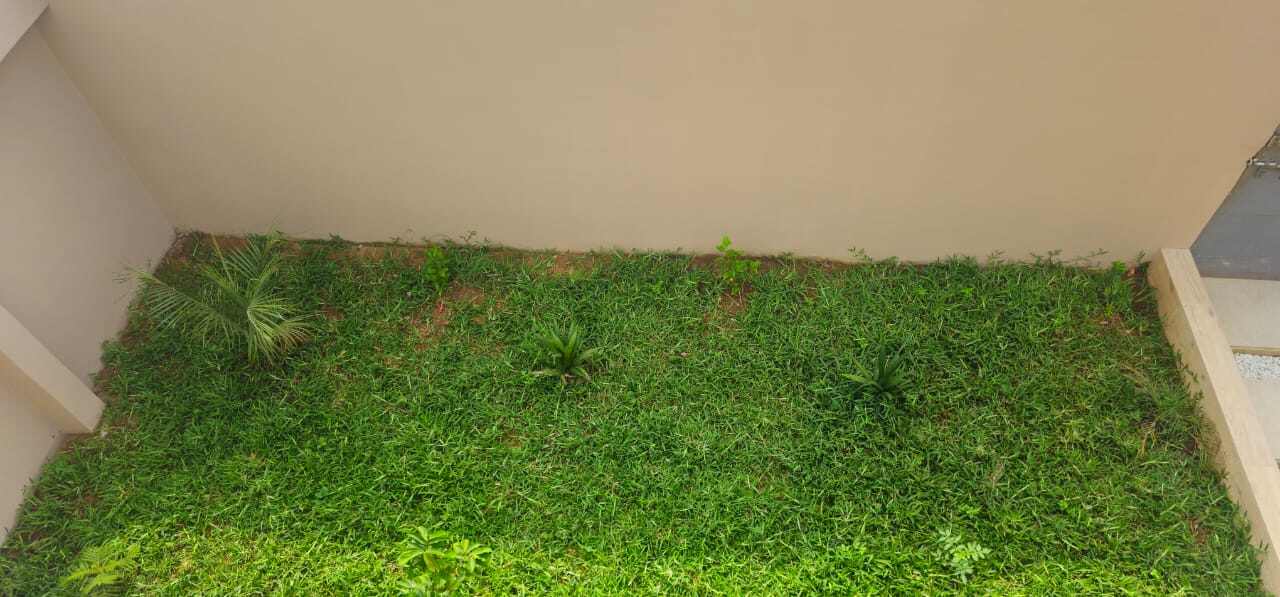 Villa bassam jardin 2