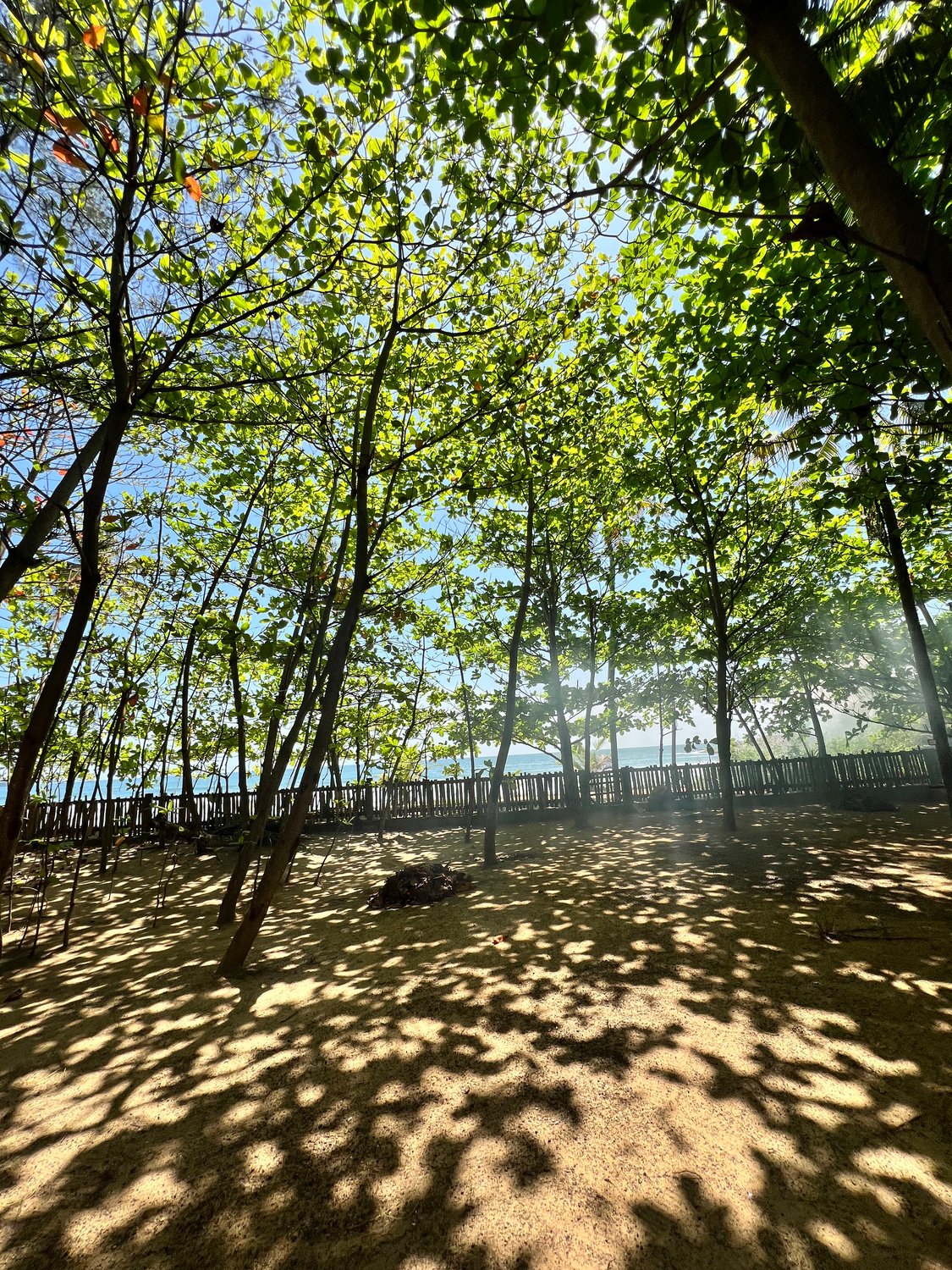 Vu mer villa San Pedro