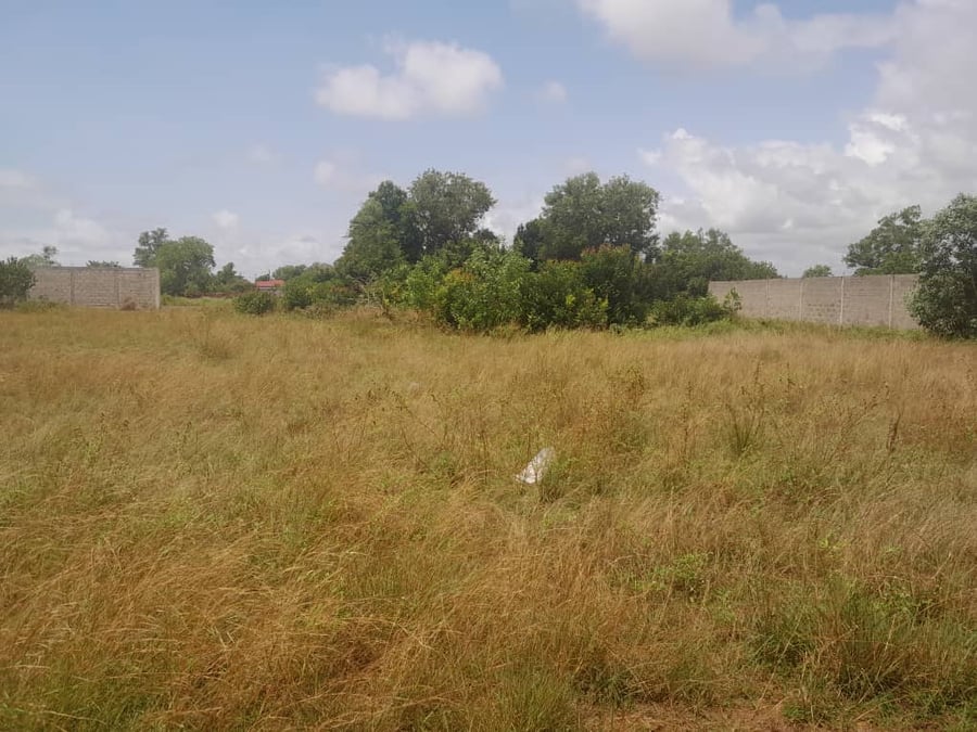 Terrain à vendre à Assinie — Assinie Mafia, Assinie (photo 1)