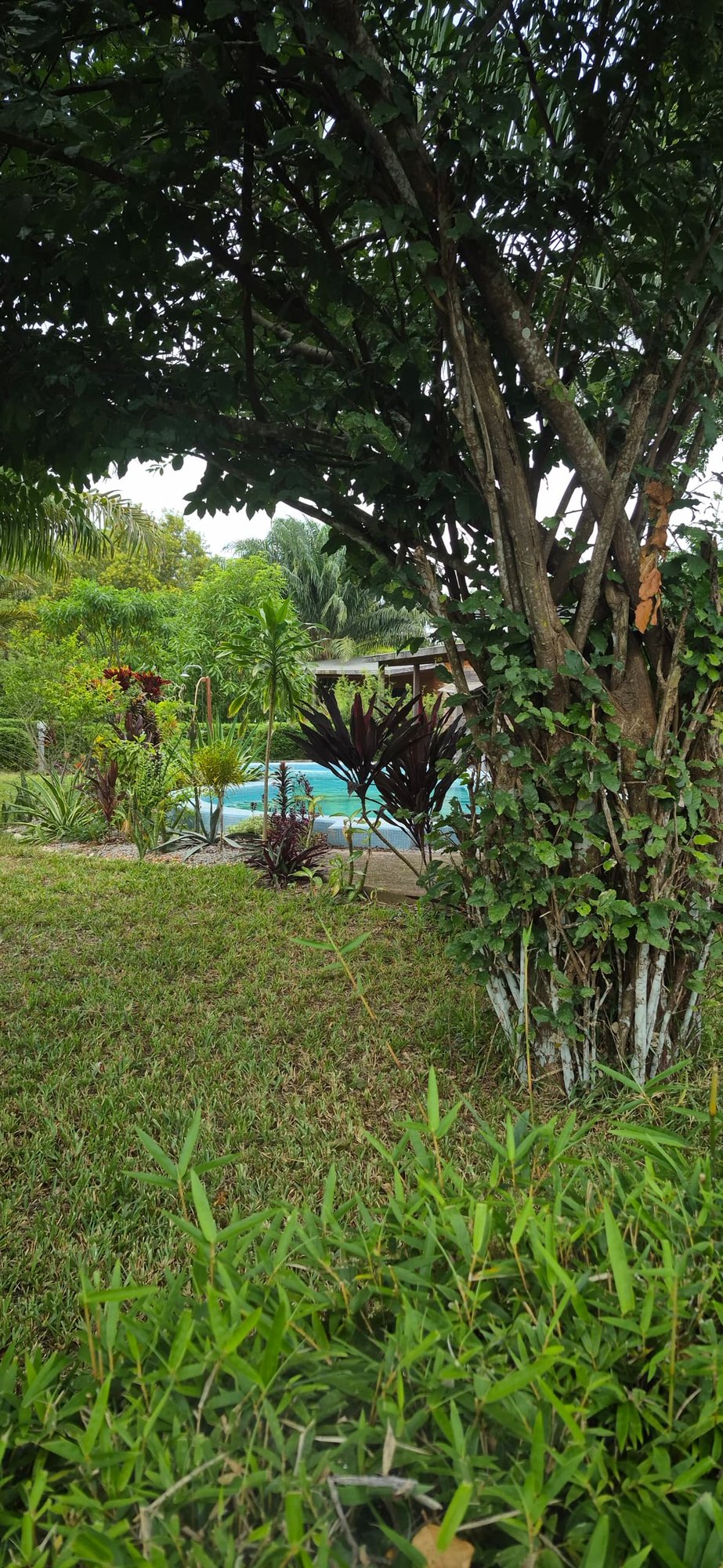 dehors villa eco dome