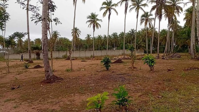Terrain de 1000 m2 à vendre à Mondoukou