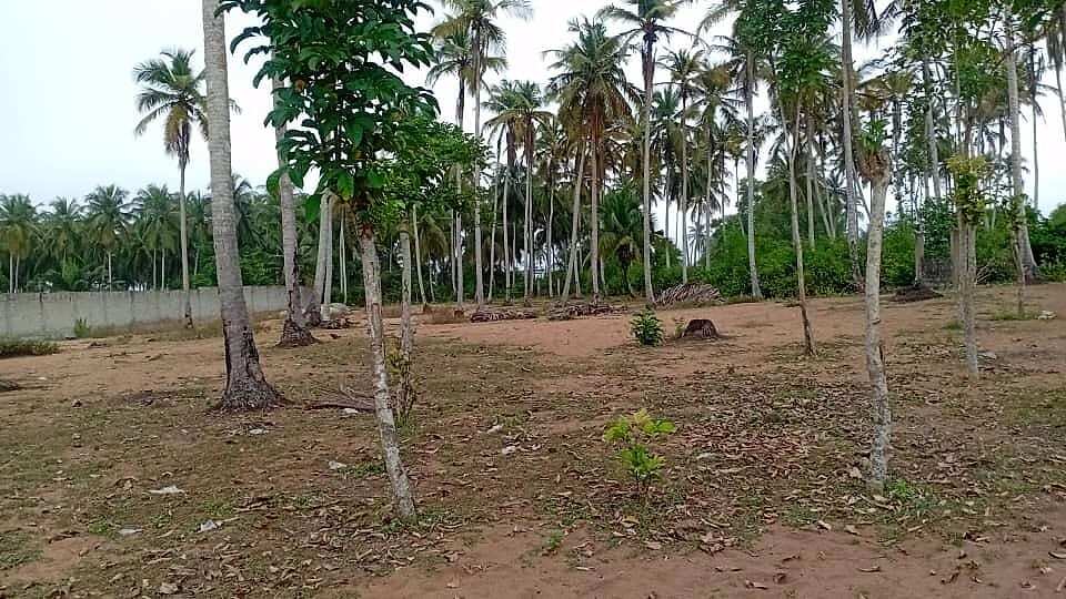 Terrain de 1000 m2 à vendre à Mondoukou — Mondoukou, Grand-Bassam (photo 2)