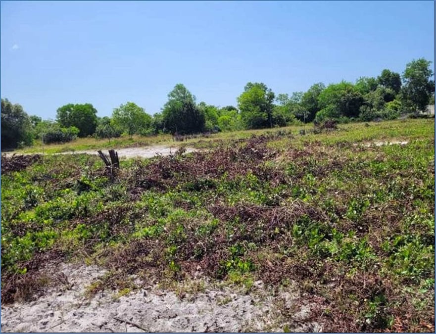 Terrain à vendre —  (photo 1)
