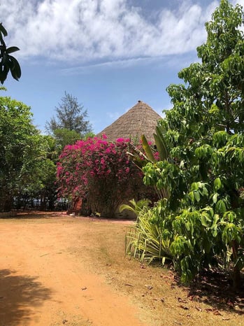 Magnifique Villa à la vente à San Pedro