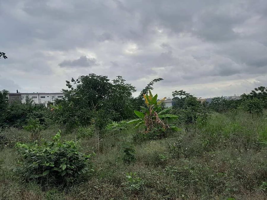 Terrain de 1388 m2 à la vente — Riviera, Cocody (photo 2)