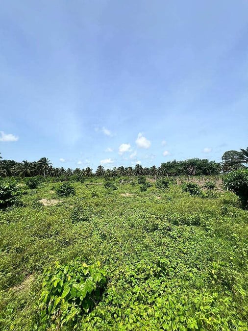 Terrain à vendre à Assinie — Assinie Mafia, Assinie (photo 1)