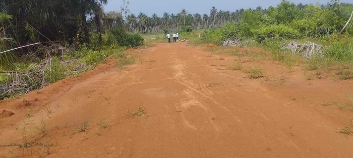 Terrain disponible à la vente à Assouinde