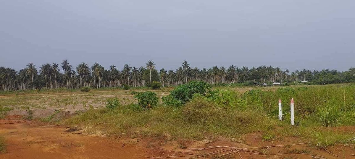 Terrain disponible à la vente à Assouinde — Assouindé, Assinie (photo 2)