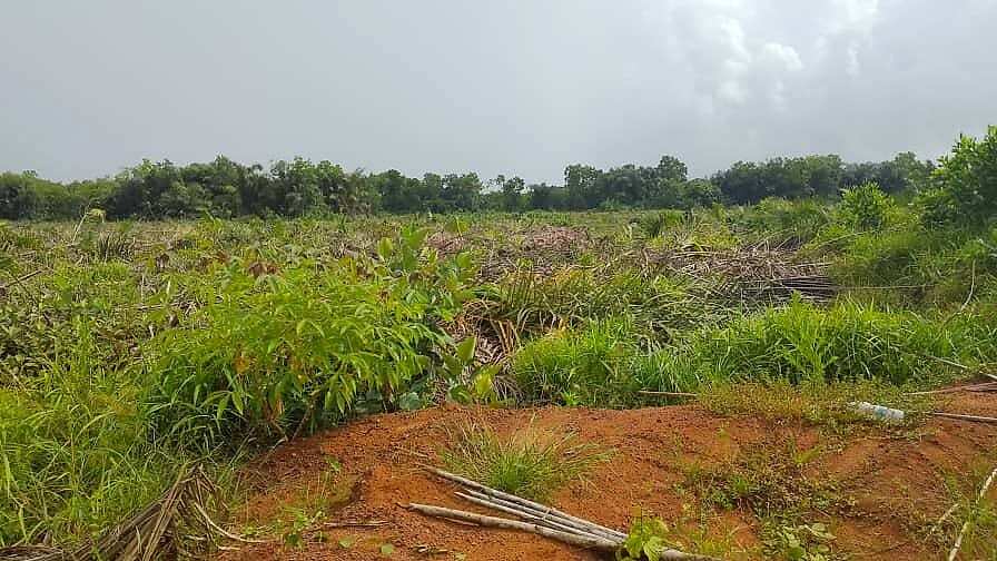 Terrain disponible à la vente à Assouinde — Assouindé, Assinie (photo 3)