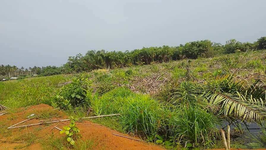 Terrain disponible à la vente à Assouinde — Assouindé, Assinie (photo 4)