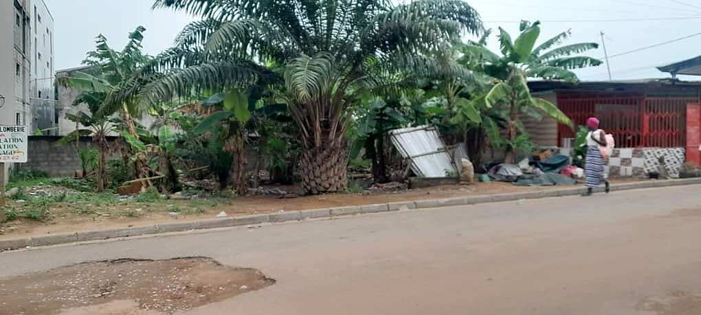 Terrain à la vente à la Palmeraie Akouedo — Palmeraie, Cocody (photo 1)