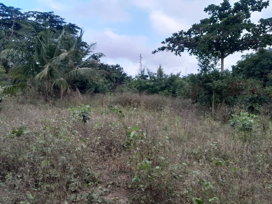Terrain de 1388 m2 à la vente — Riviera, Cocody (photo 1)